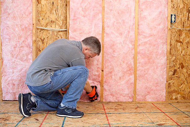 Best Insulation for Specific Applications in Parole, MD