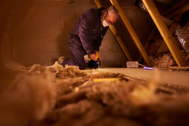Best Insulation for Specific Applications in Parole, MD